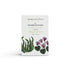 A sea kelp and cyclamen scented natural soap bar from the Home County Co. is shown in its coastal illustrated recyclable soap bar wrap