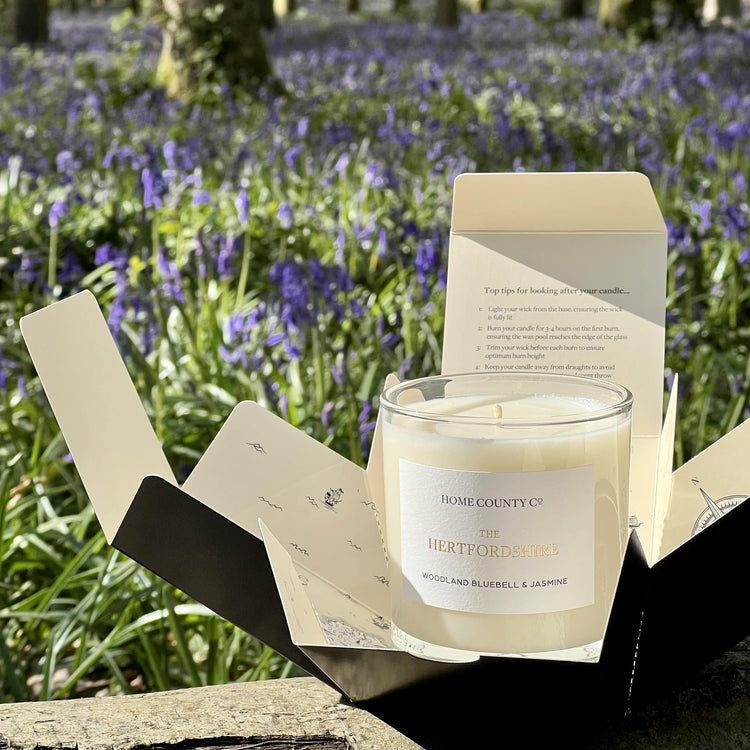 Hertfordshire bluebell candle from the Home County Co is shown in a bluebell wood