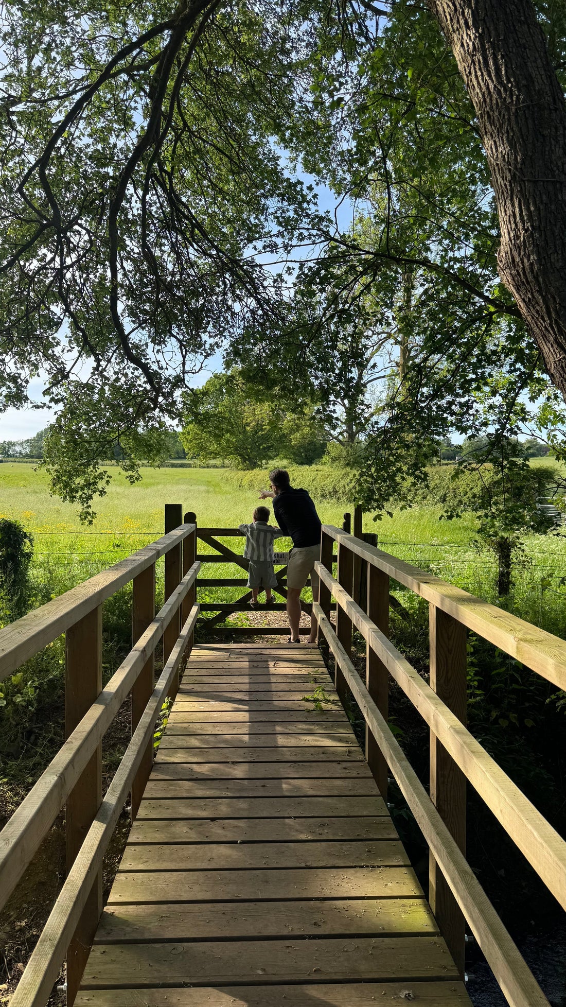 Oli's Top Picks for Father's Day