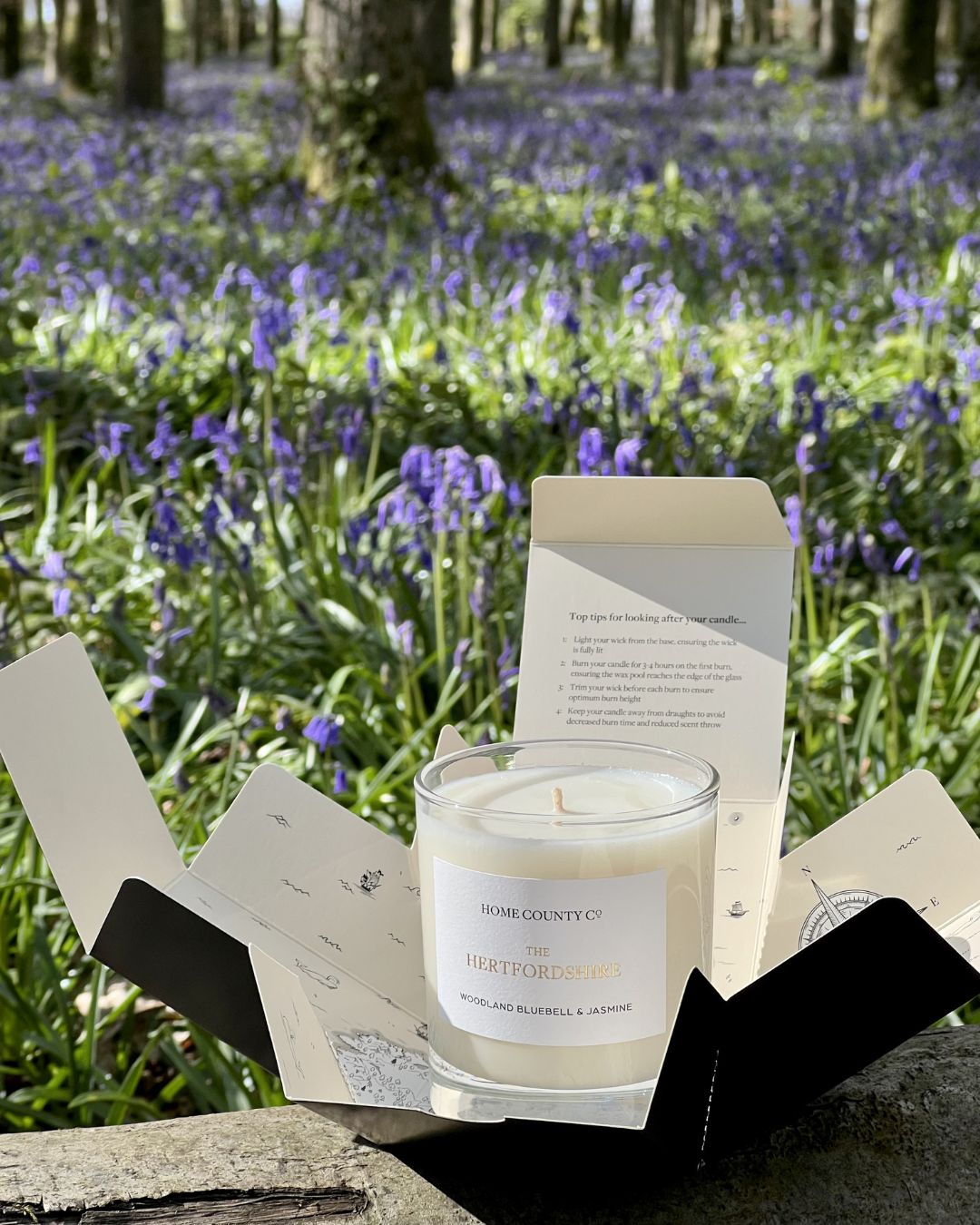 Where to see bluebells in the home counties this spring | Hertfordshire, Surrey, Kent
