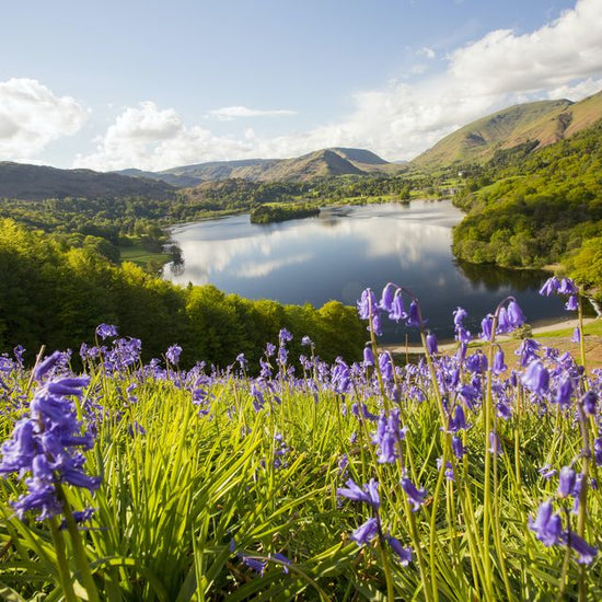 Spring in the UK: 3 spring activities to enjoy