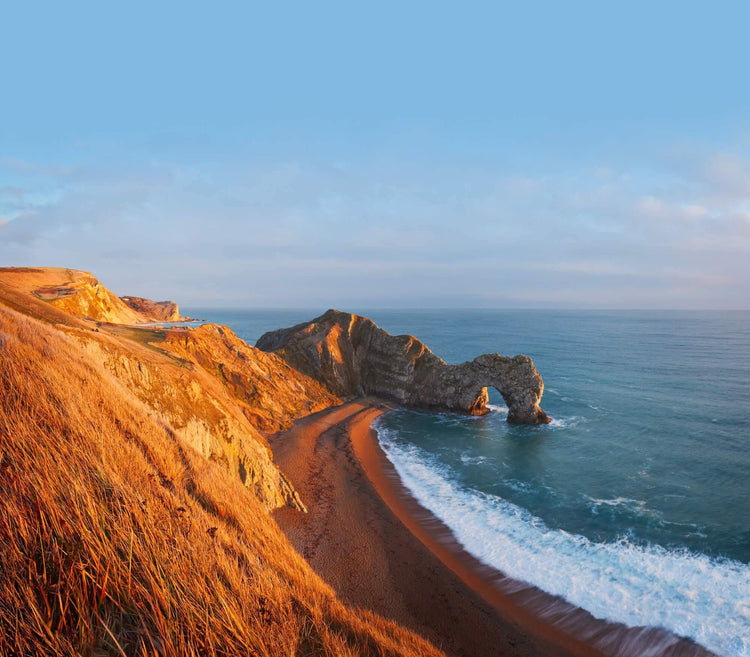 The Dorset - Seaweed and Juniper