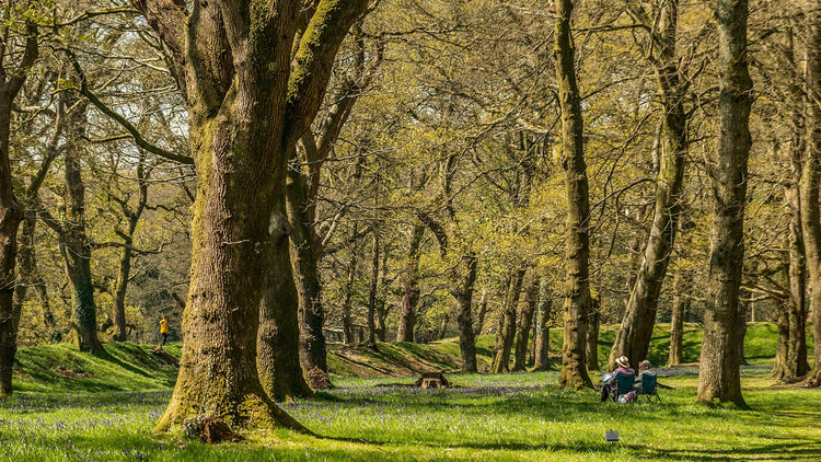 English Heritage - English Woodlands