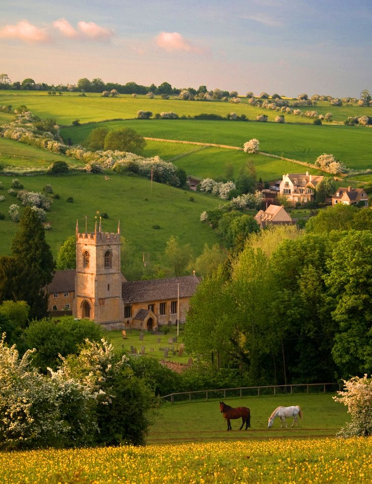 The Gloucestershire - Meadows and Hedgerows – Home County Co.