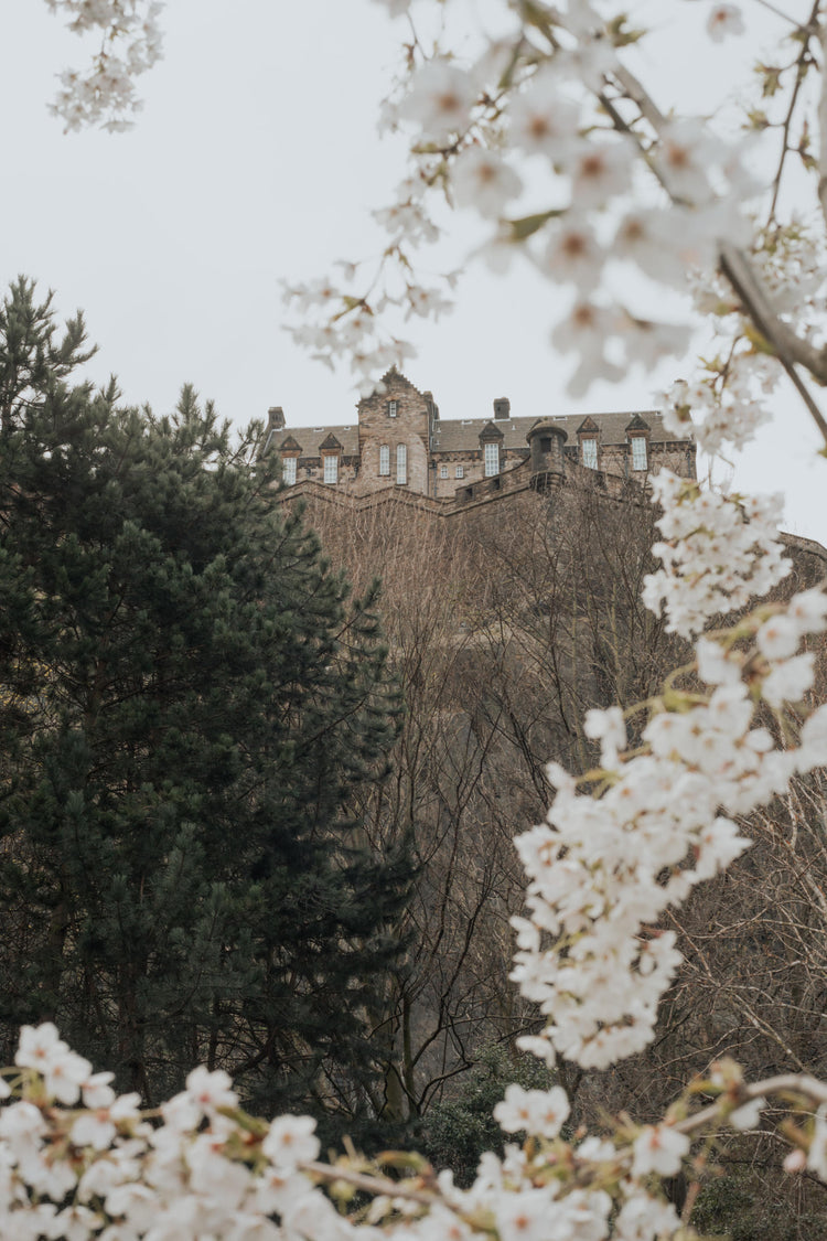 The Edinburgh and The Lothians - Wood Smoke and Wild Moss