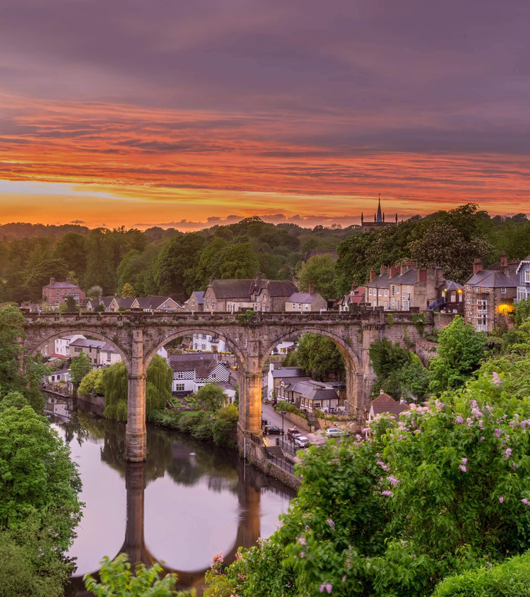 The Yorkshire - Yorkshire Rose