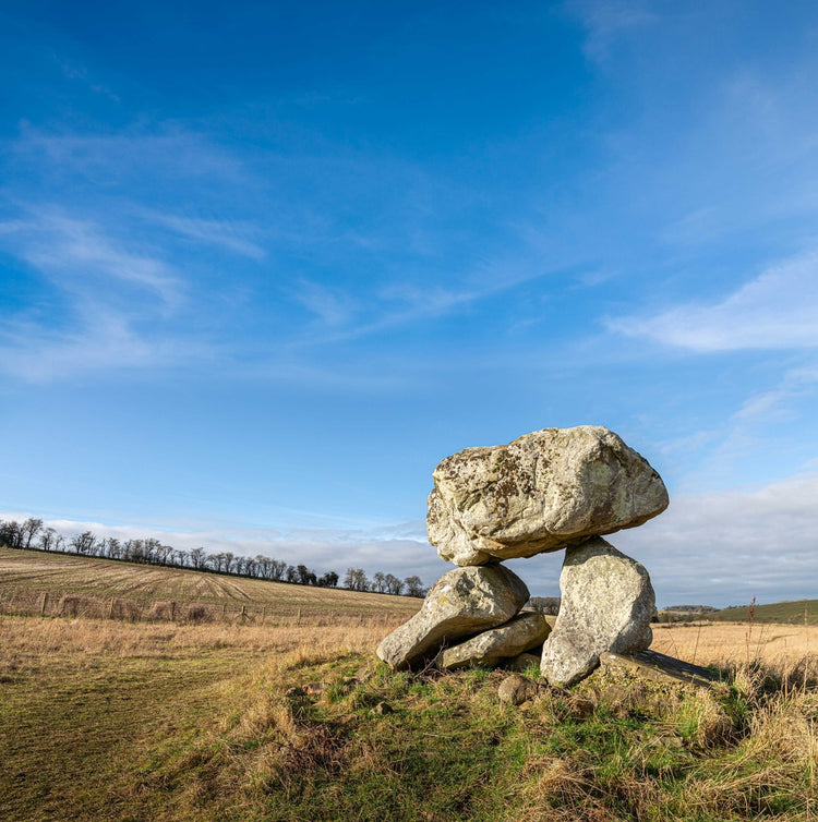 The Wiltshire - Oakmoss and Amber