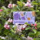 An English Heritage English Meadows soap bar is shown in a blossom tree