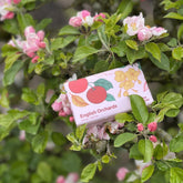 An English Heritage English Orchards scented soap bar is shown in an apple blossom tree