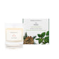 A pine and peppermint scented soy wax candle is shown next to its sustainable candle box with pinecone illustration