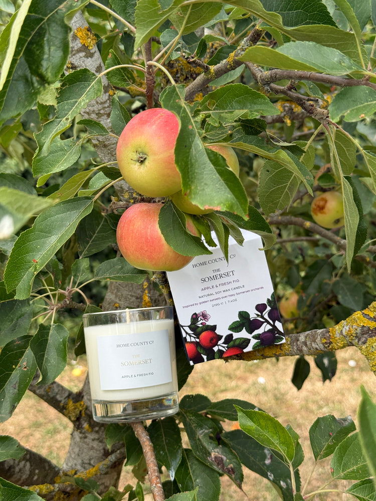 The Somerset - Apple and Fresh Fig