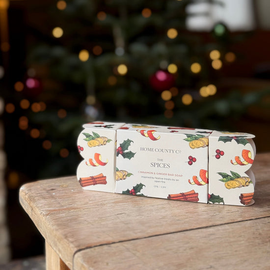 The Spices - Cinnamon and Ginger Soap Bar