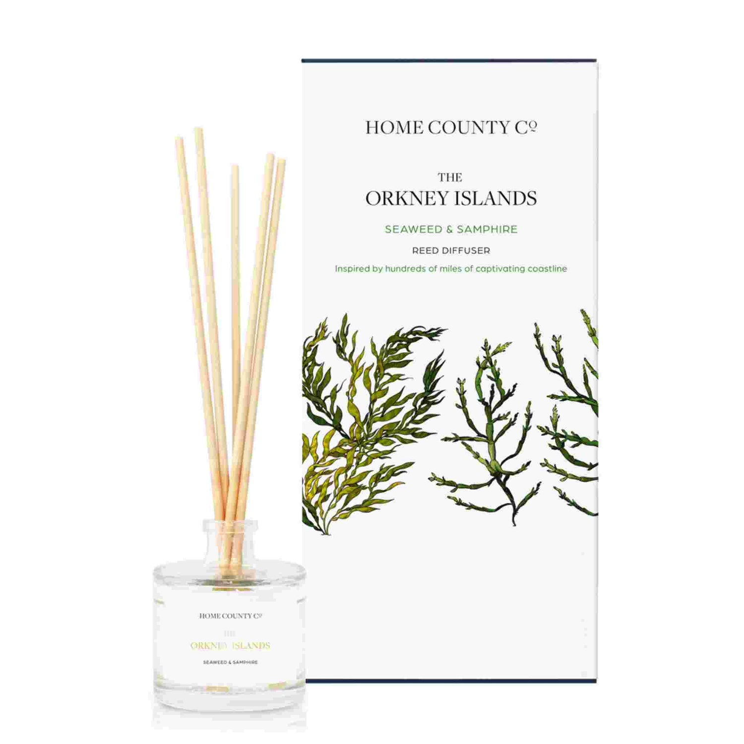 A seaweed and samphire scented reed diffuser from Home County Co. The vegan friendly reed diffuser is shown next to the eco friendly reed diffuser box packaging.